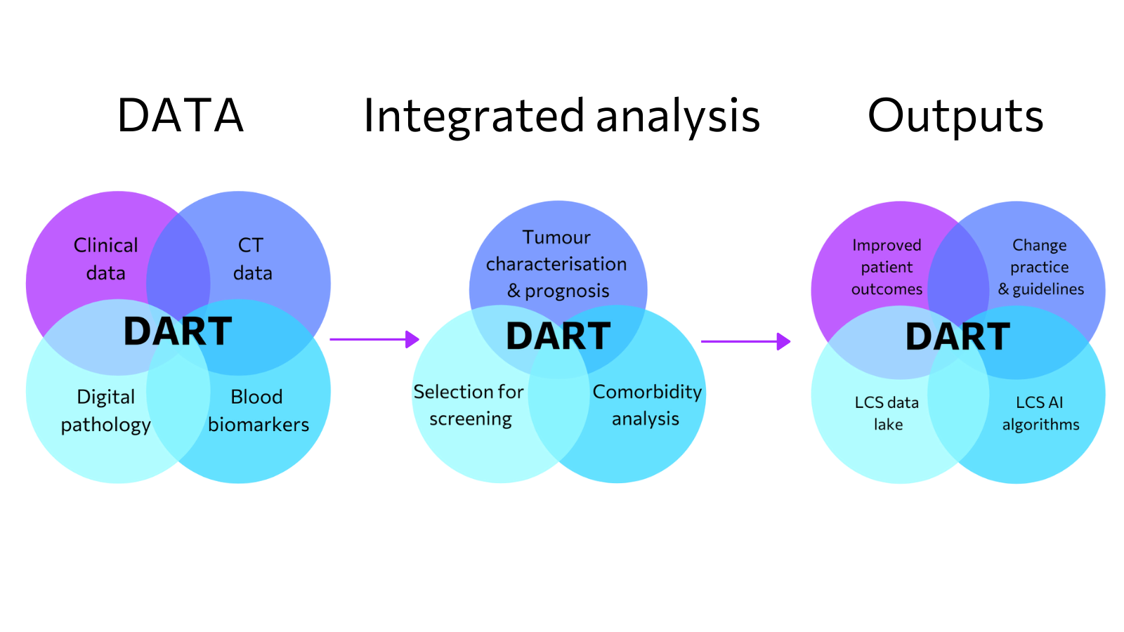 Want to know more about DART project aims objectives? DART